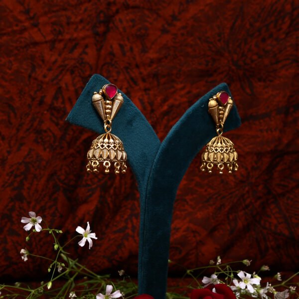Celebrity Tribe - Image 4